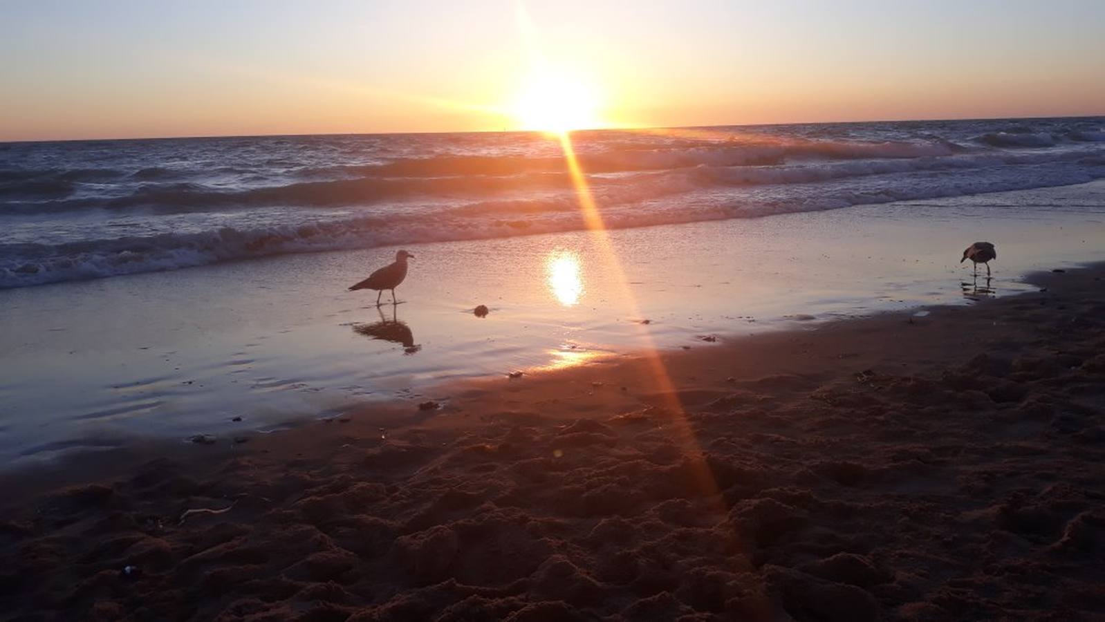 En imágenes: Las mejores puestas de sol del verano