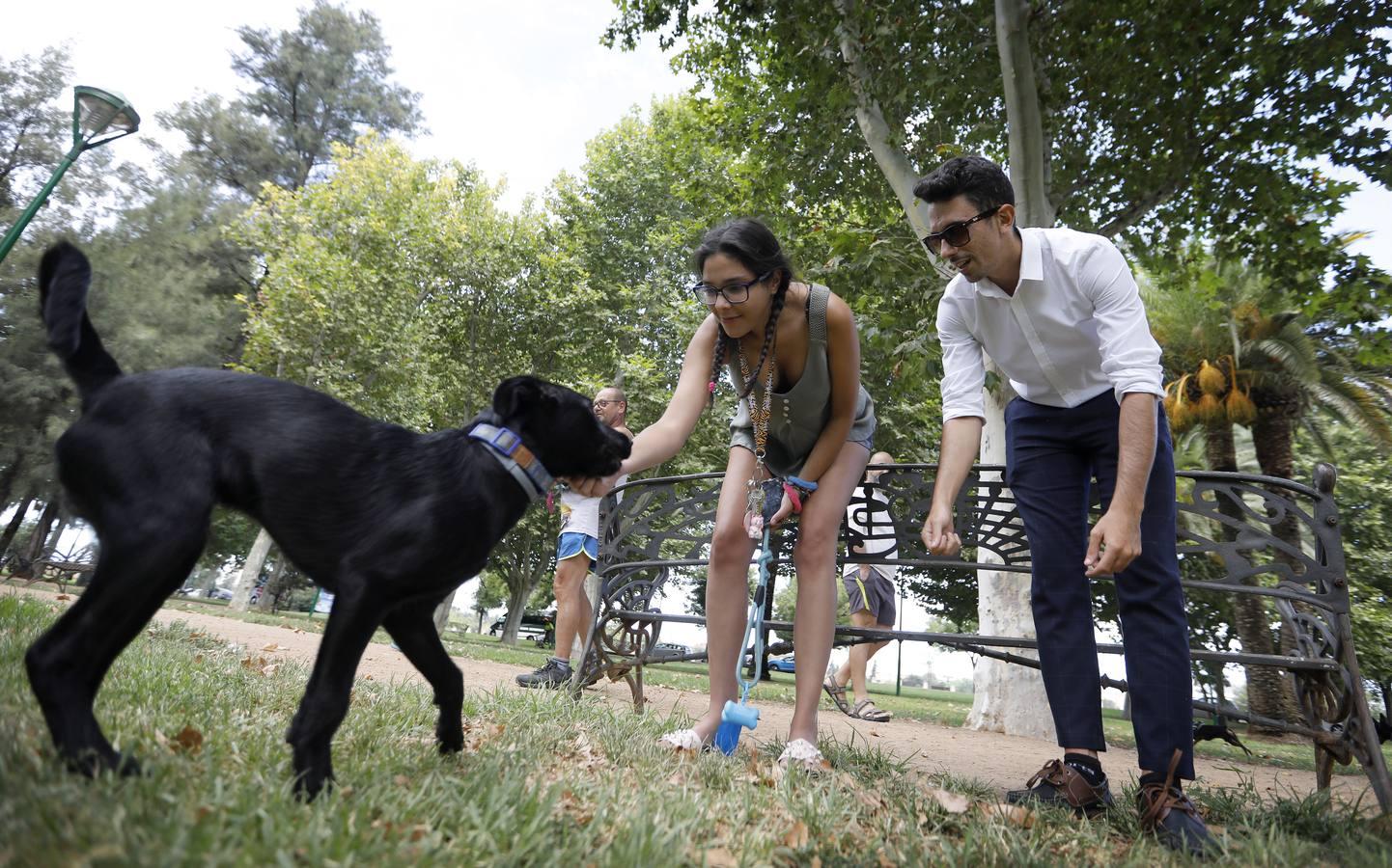 Las mascotas de Córdoba, en imágenes