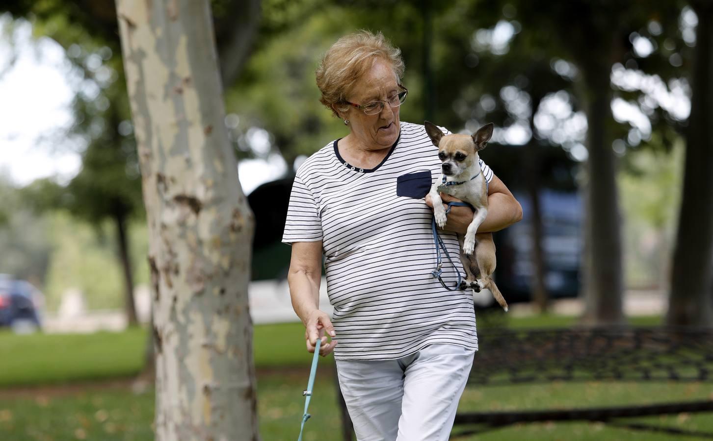 Las mascotas de Córdoba, en imágenes