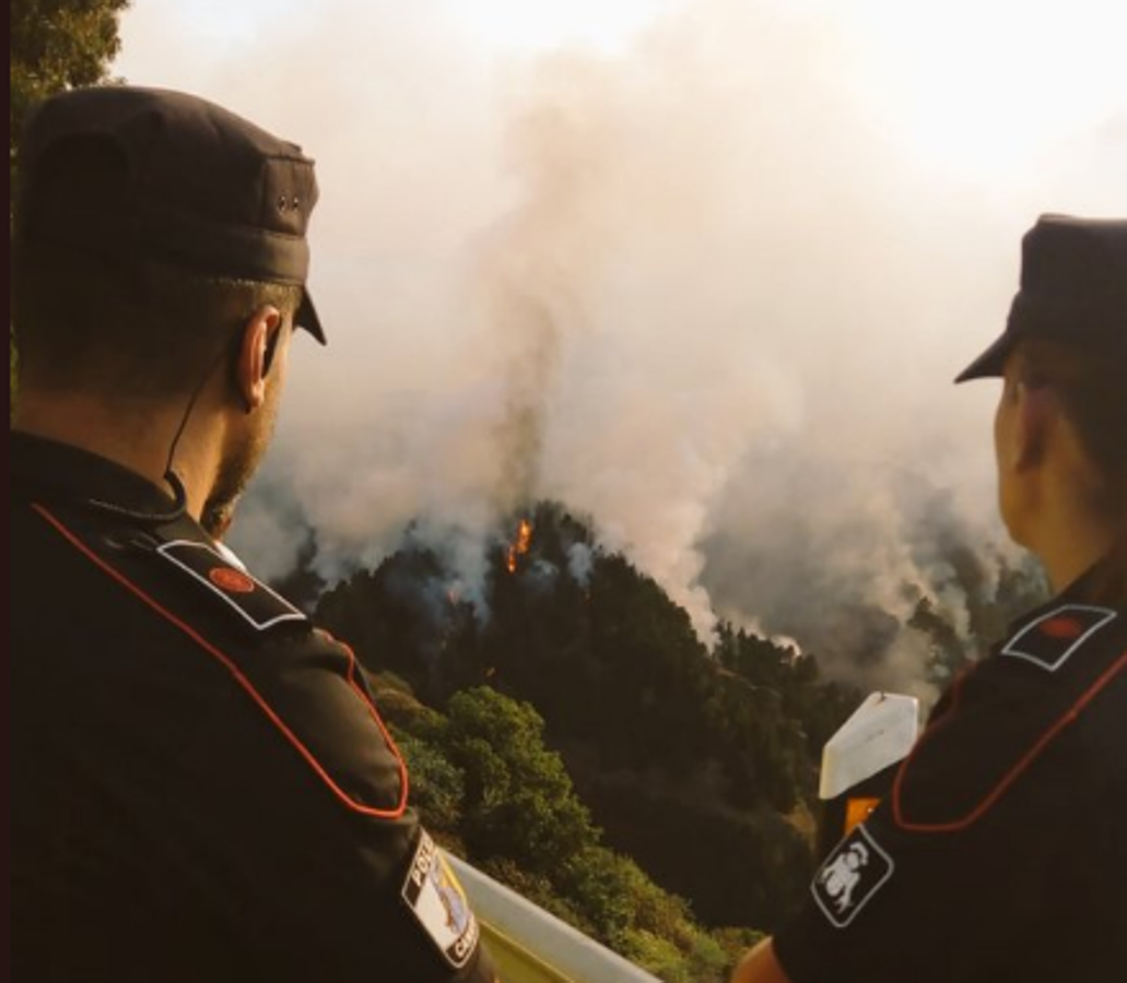 El cuerpo de la policía y los servicios de emergencia trabajan para controlar el fuego. 