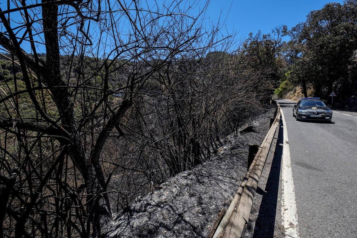 Un vehículo de la Policía Local recorre una de las vías afectadas por el incendio de la cumbre de Gran Canaria. 