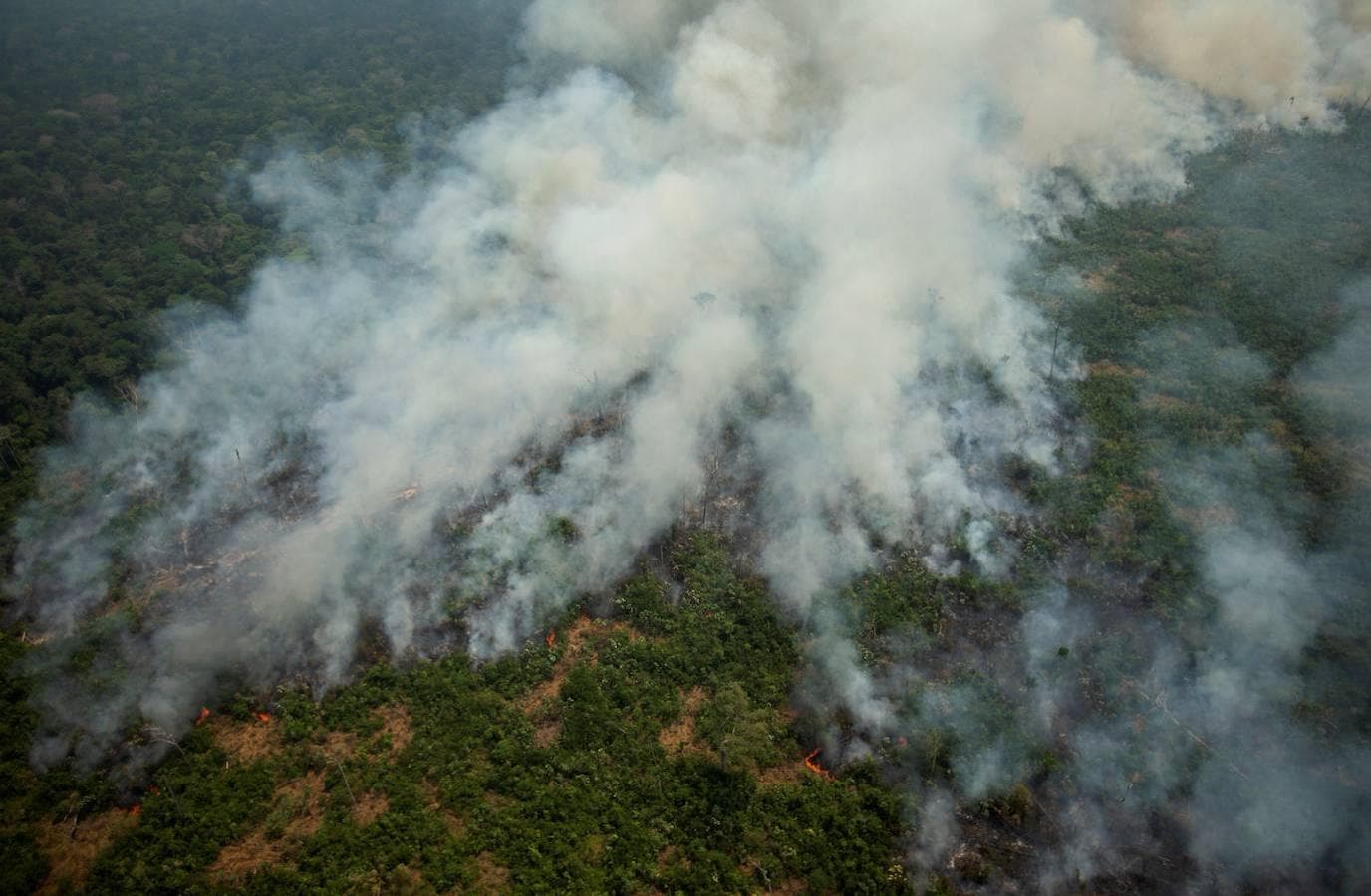 Vista aérea de varias columnas de humo, este viernes, en la selva amazónica de Porto Velho, Rondonia (Brasil). 