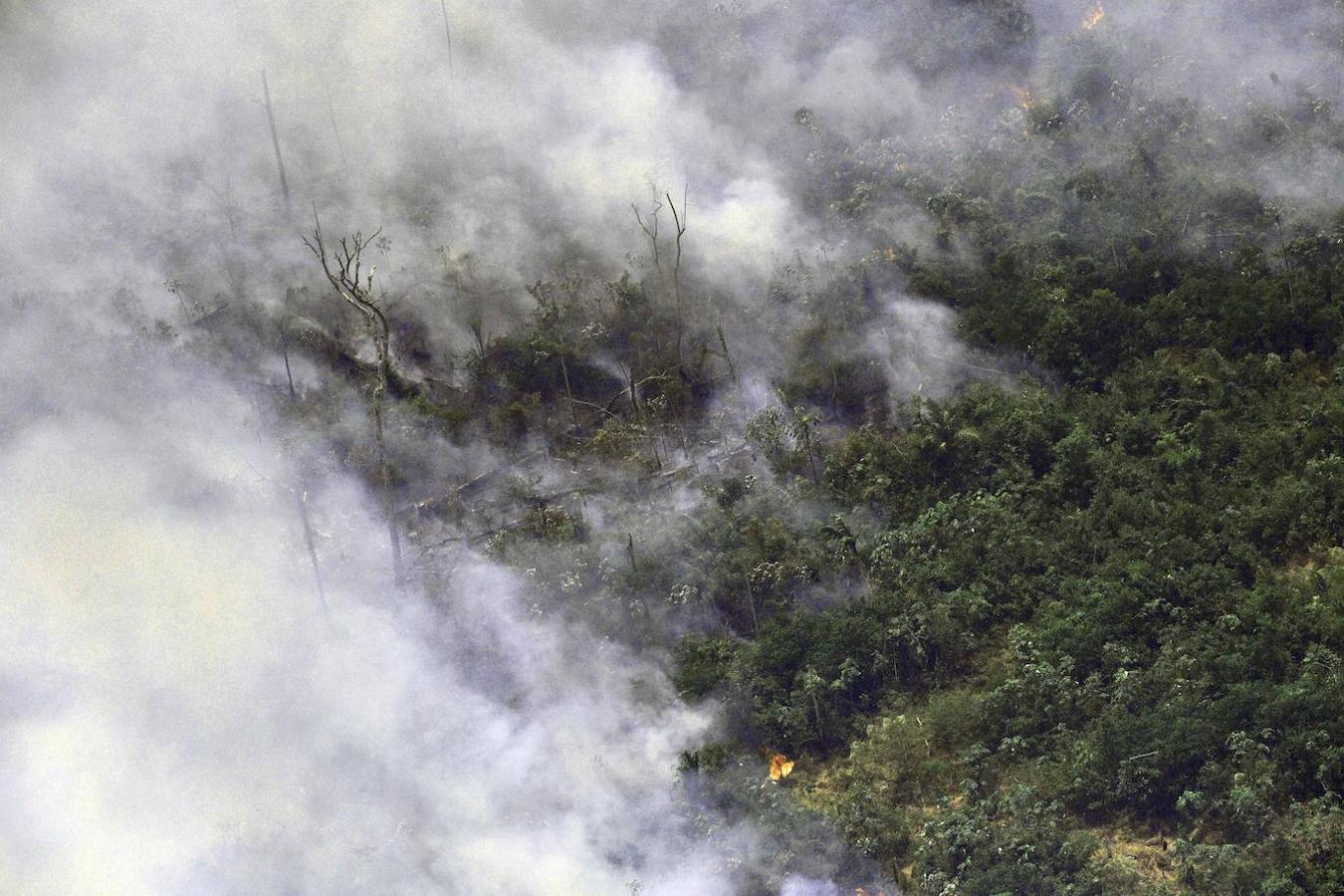 Los efectos de los incendios están causando graves problemas en regiones colindantes y del norte de Brasil, donde la niebla afectó a la navegación en ríos y cancelación de vuelos. 