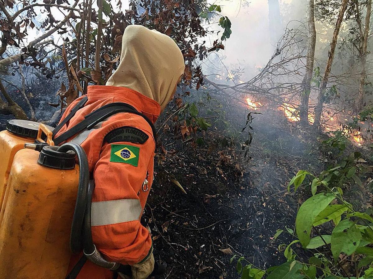 Una de las conflagraciones de los grandes incendios que azotan la Selva del Amazonas, en Porto Velho, Brasil. 
