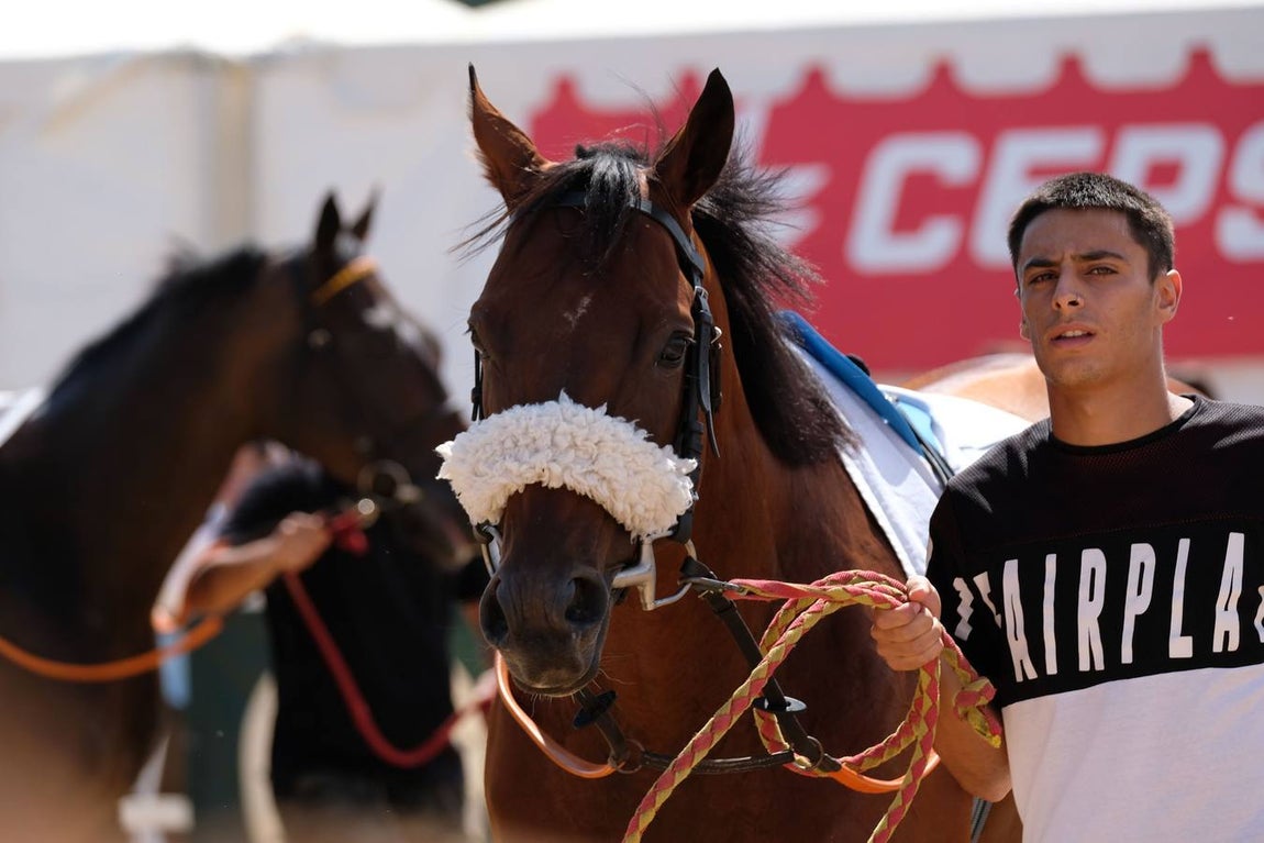 En imágenes, segundo ciclo de las Carreras de Caballos de Sanlúcar