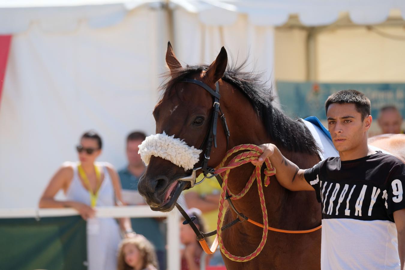 Fotos: Segundo ciclo de las carreras de caballos de Sanlúcar