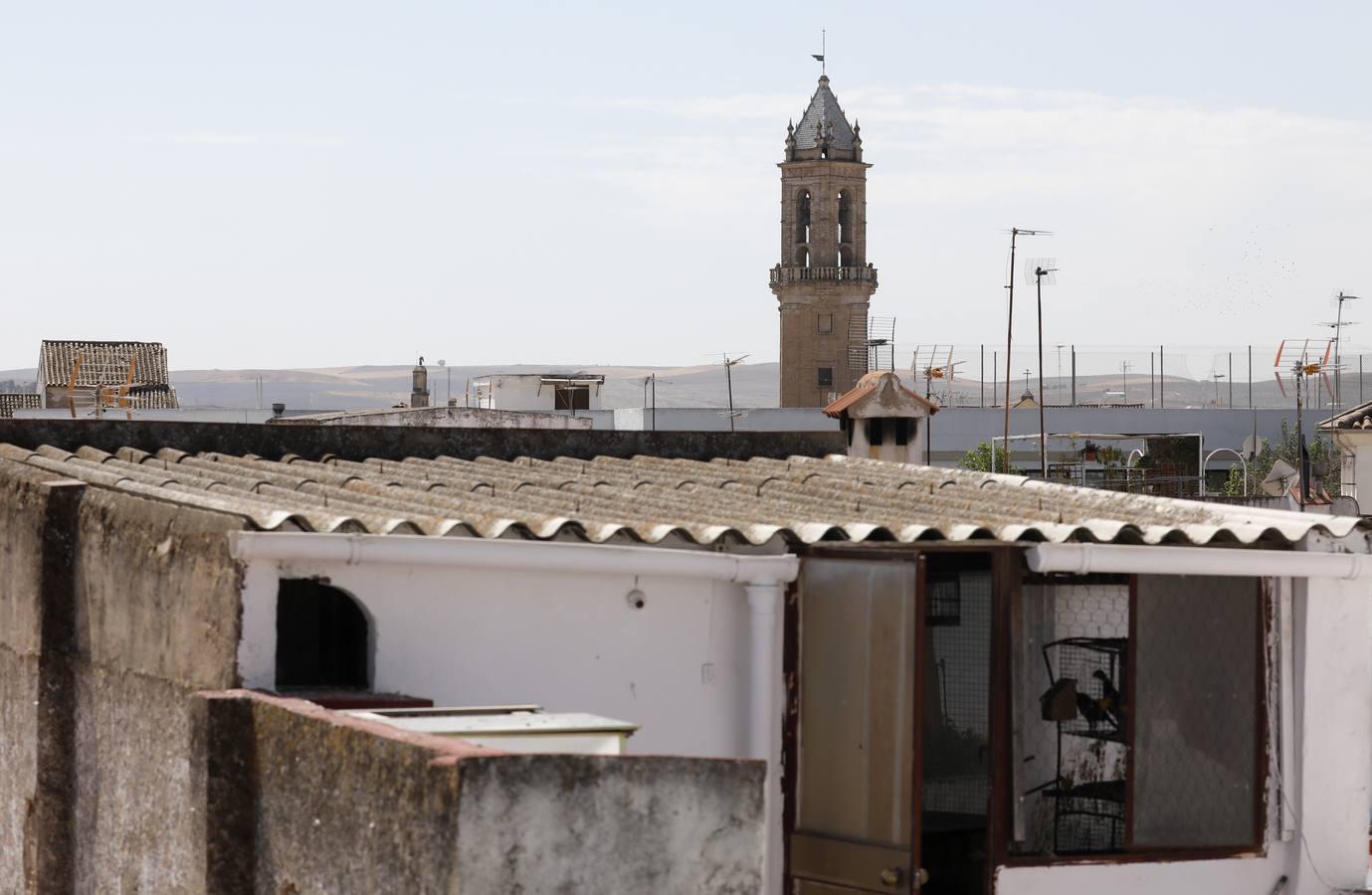 Los campanarios de Córdoba, en imágenes