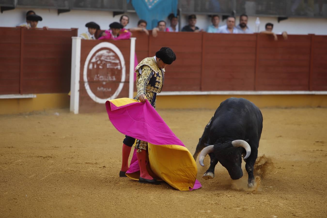 La corrida de toros en Priego de Córdoba, en imágenes