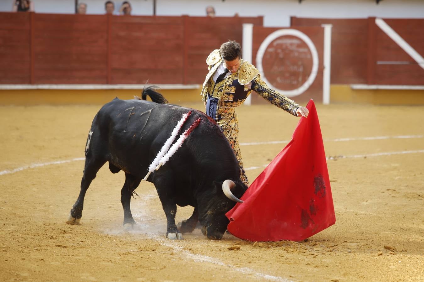 La corrida de toros en Priego de Córdoba, en imágenes