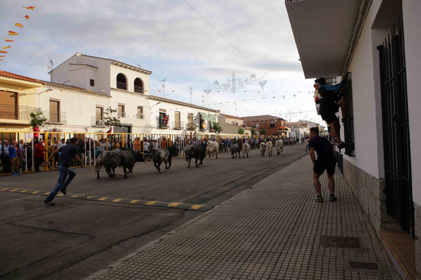 Comienzan los tradicionales encierros de Villaseca