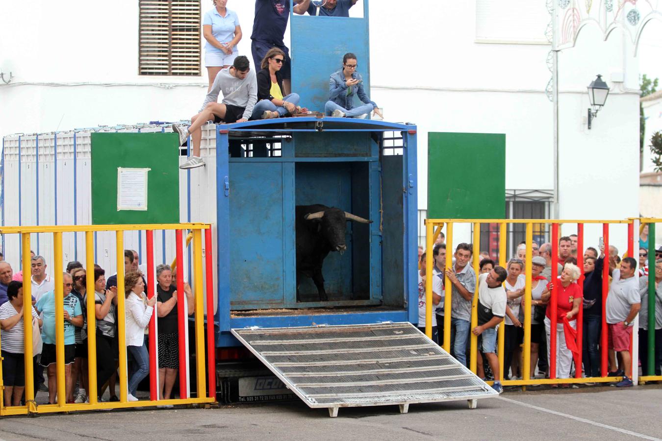 Comienzan los tradicionales encierros de Villaseca