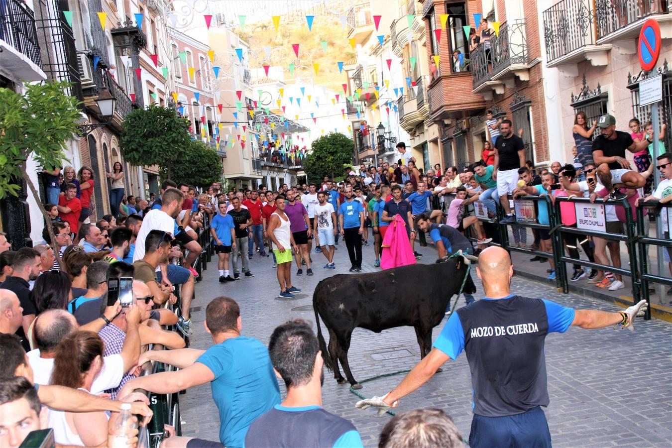 El toro de cuerda de Carcabuey, en imágenes