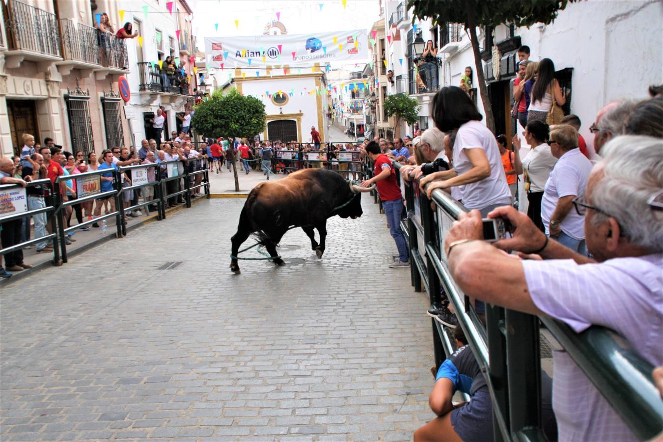 El toro de cuerda de Carcabuey, en imágenes