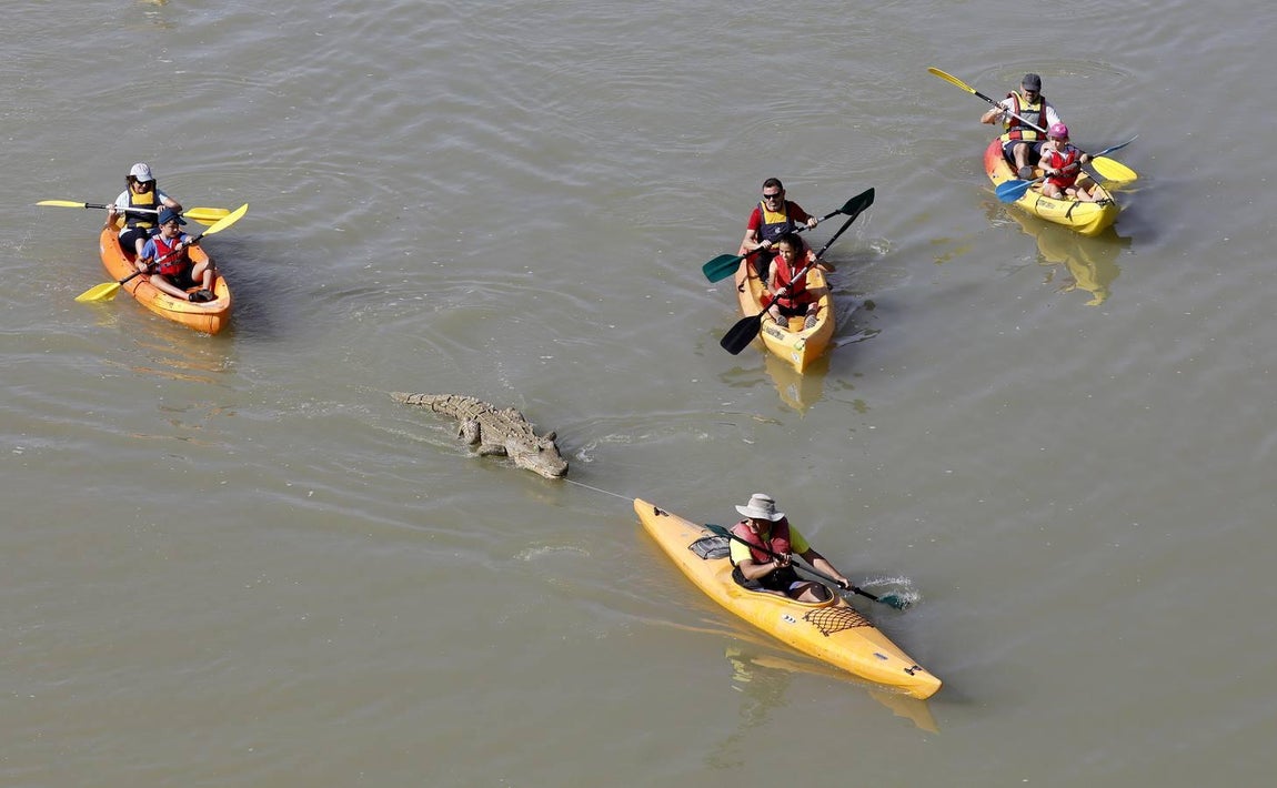 Piraguas y fruta gratis en la Velá de la Fuensanta de Córdoba