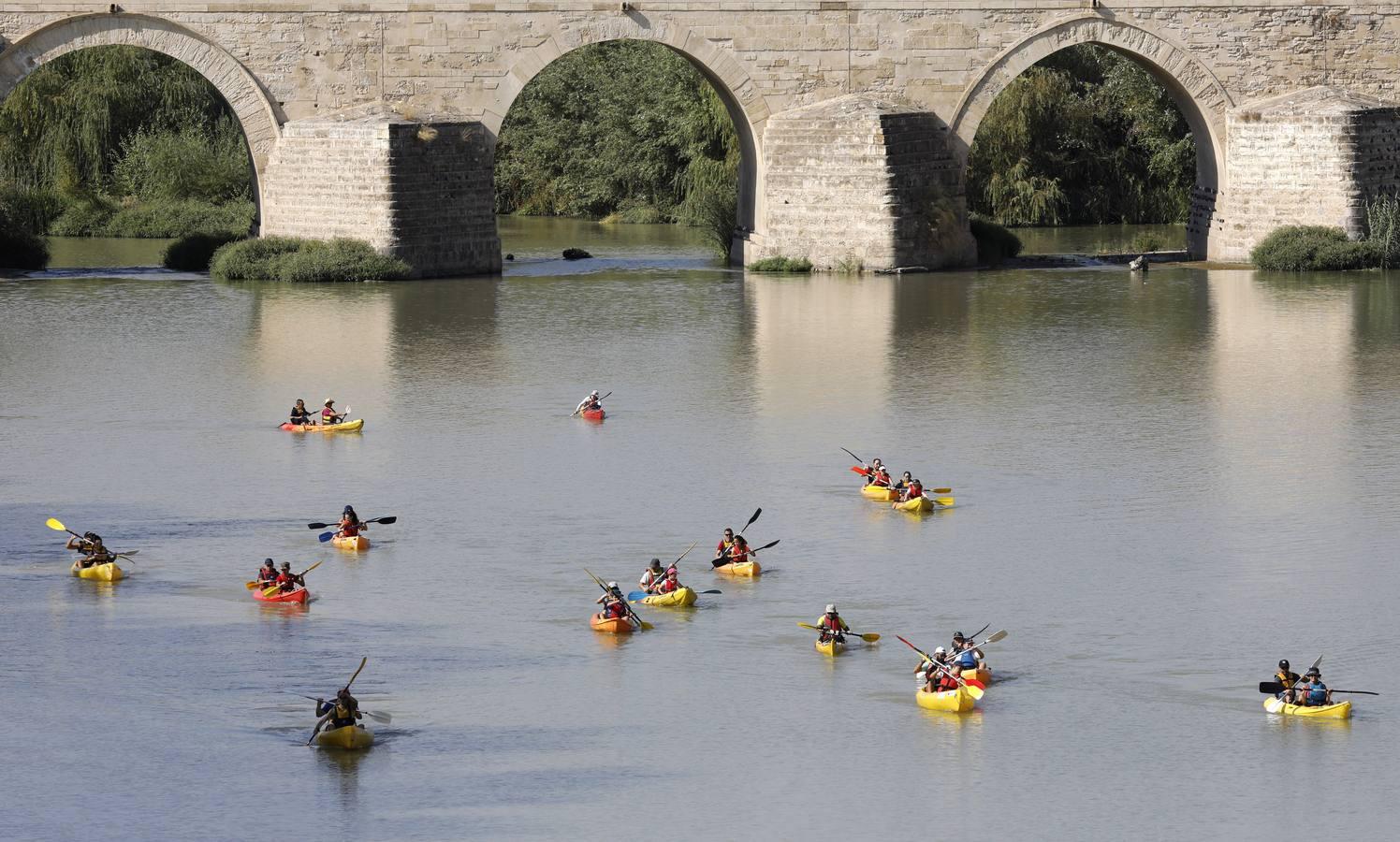 Piraguas y fruta gratis en la Velá de la Fuensanta de Córdoba