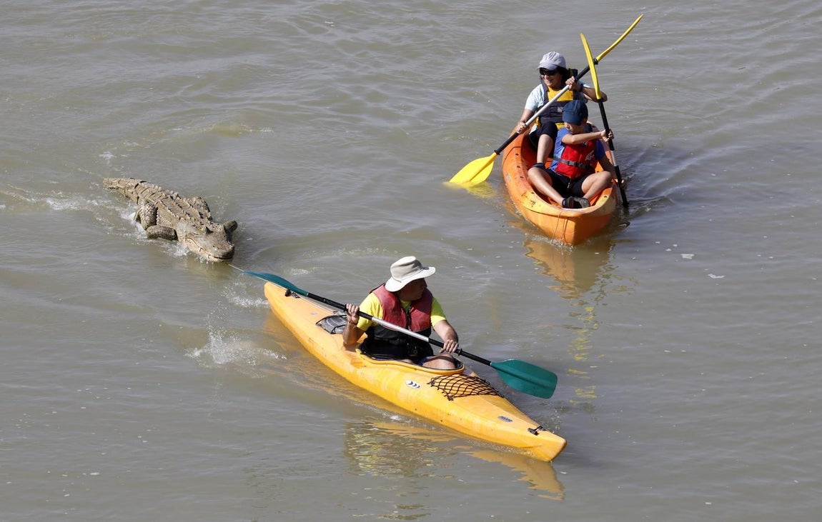 Piraguas y fruta gratis en la Velá de la Fuensanta de Córdoba