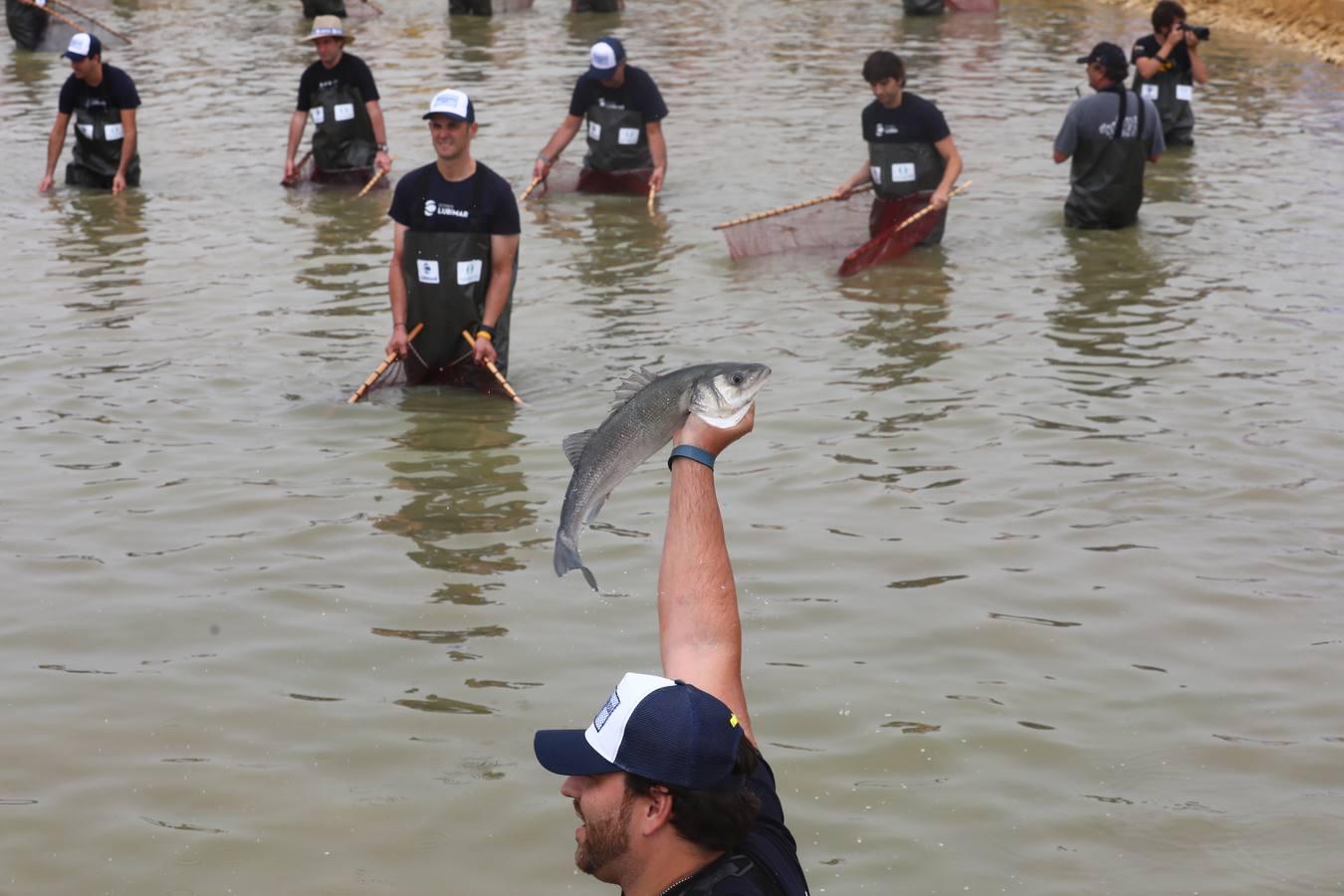 En fotos: el despesque de Ángel León