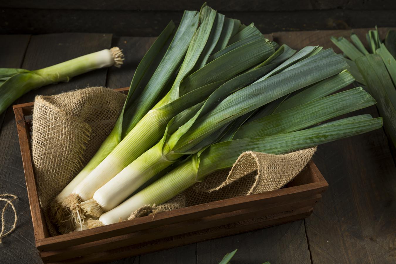 Puerro. El puerro es una planta bienal resistente a los climas fríos, y por regla general prefiere suelos profundos. Se suele sembrar en los meses de verano para disfrutar de este vegetal durante todo el otoño e invierno, e incluso primavera. Crece a pleno sol, aunque también puede hacerlo a media sombra. Las flores son hermafroditas y son polinizadas por abejas y otros insectos. Para el proceso del blanqueo, cuando está suficientemente desarrollado el tallo, se tumba y se entierra para evitar que le dé la luz.