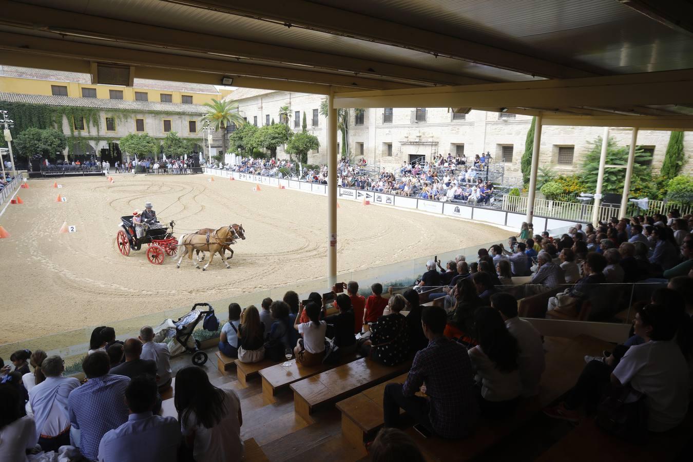 El ambiente del sábado en la Feria del Caballo «Cabalcor», en imágenes