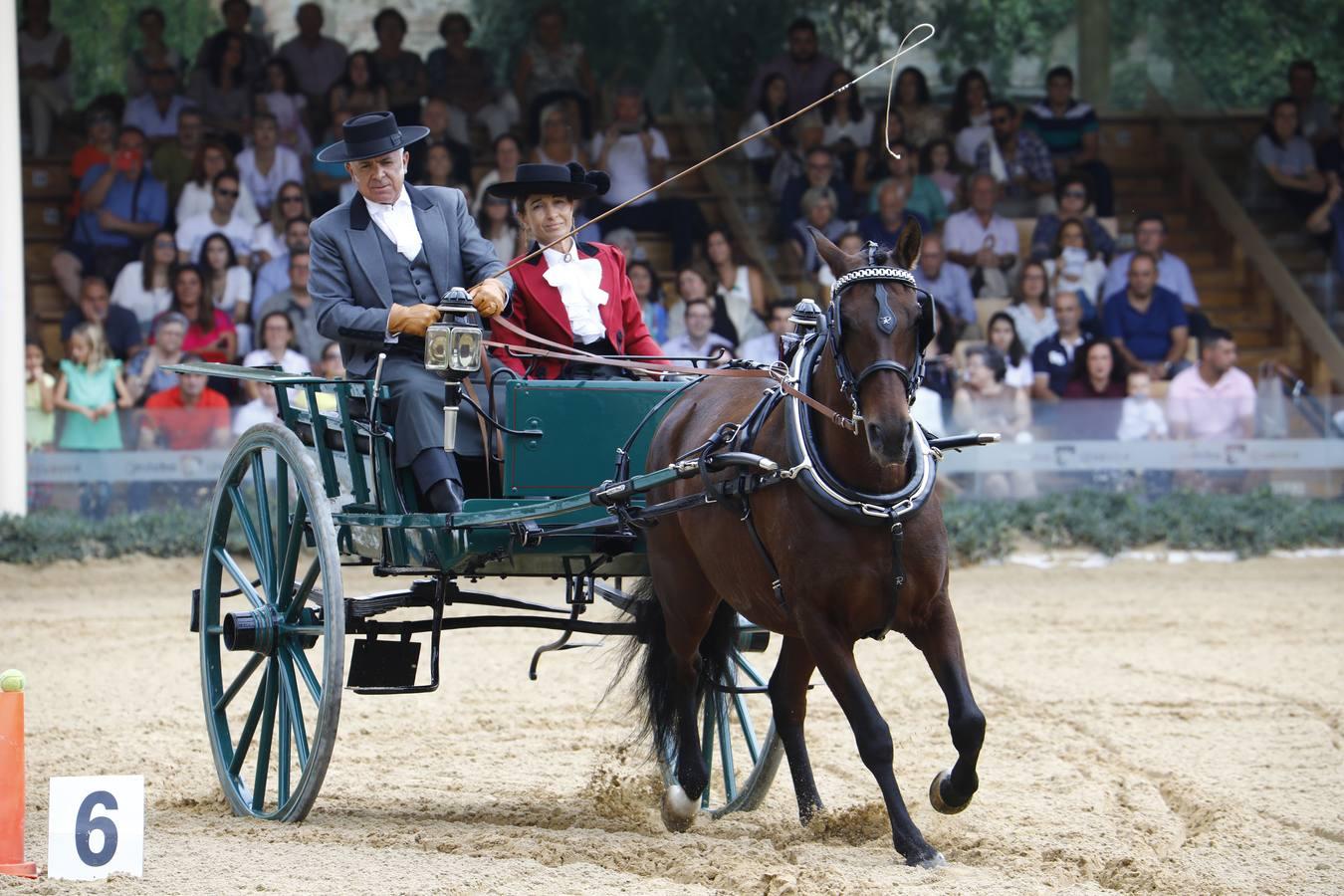 El ambiente del sábado en la Feria del Caballo «Cabalcor», en imágenes