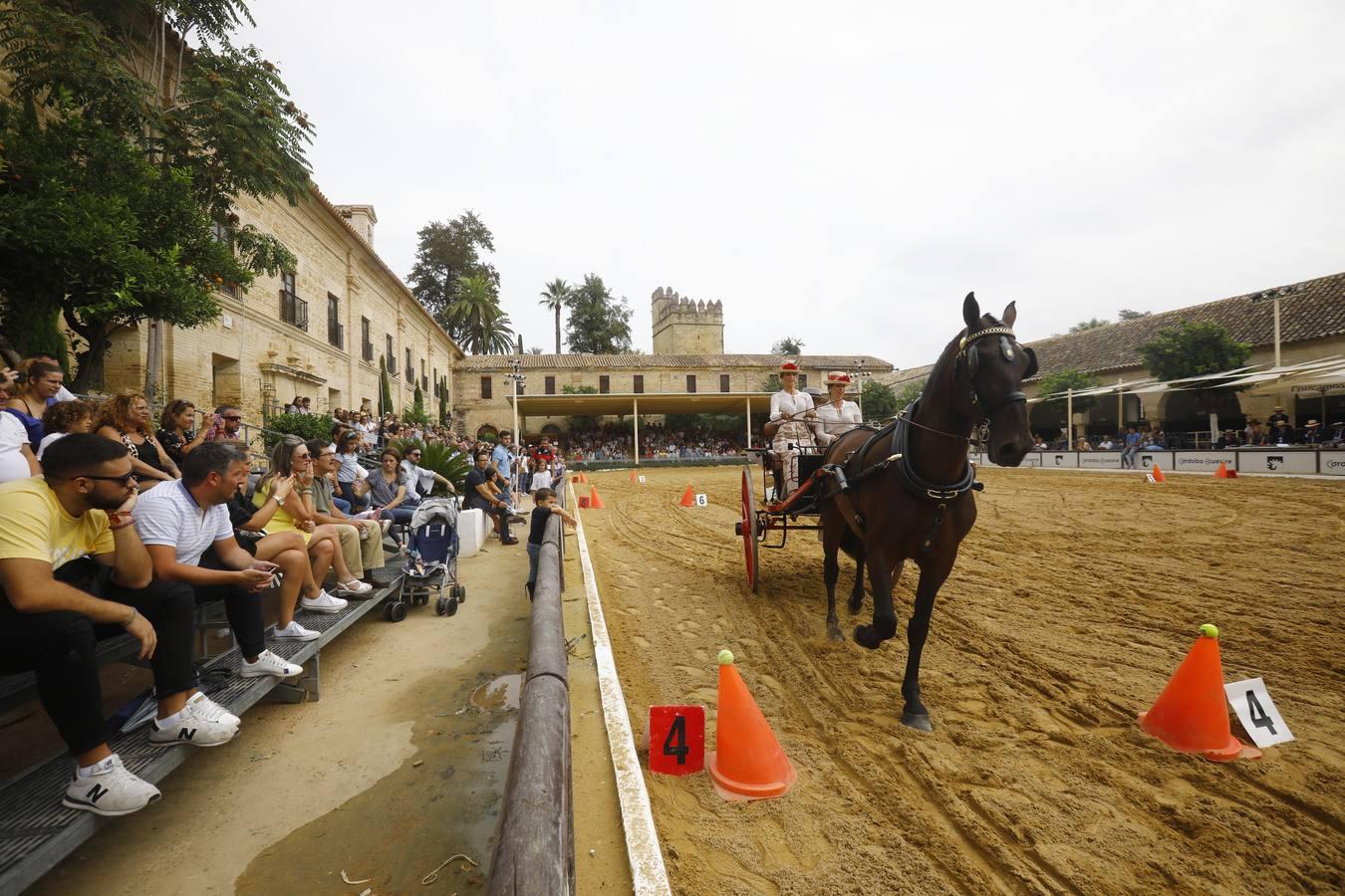 El ambiente del sábado en la Feria del Caballo «Cabalcor», en imágenes