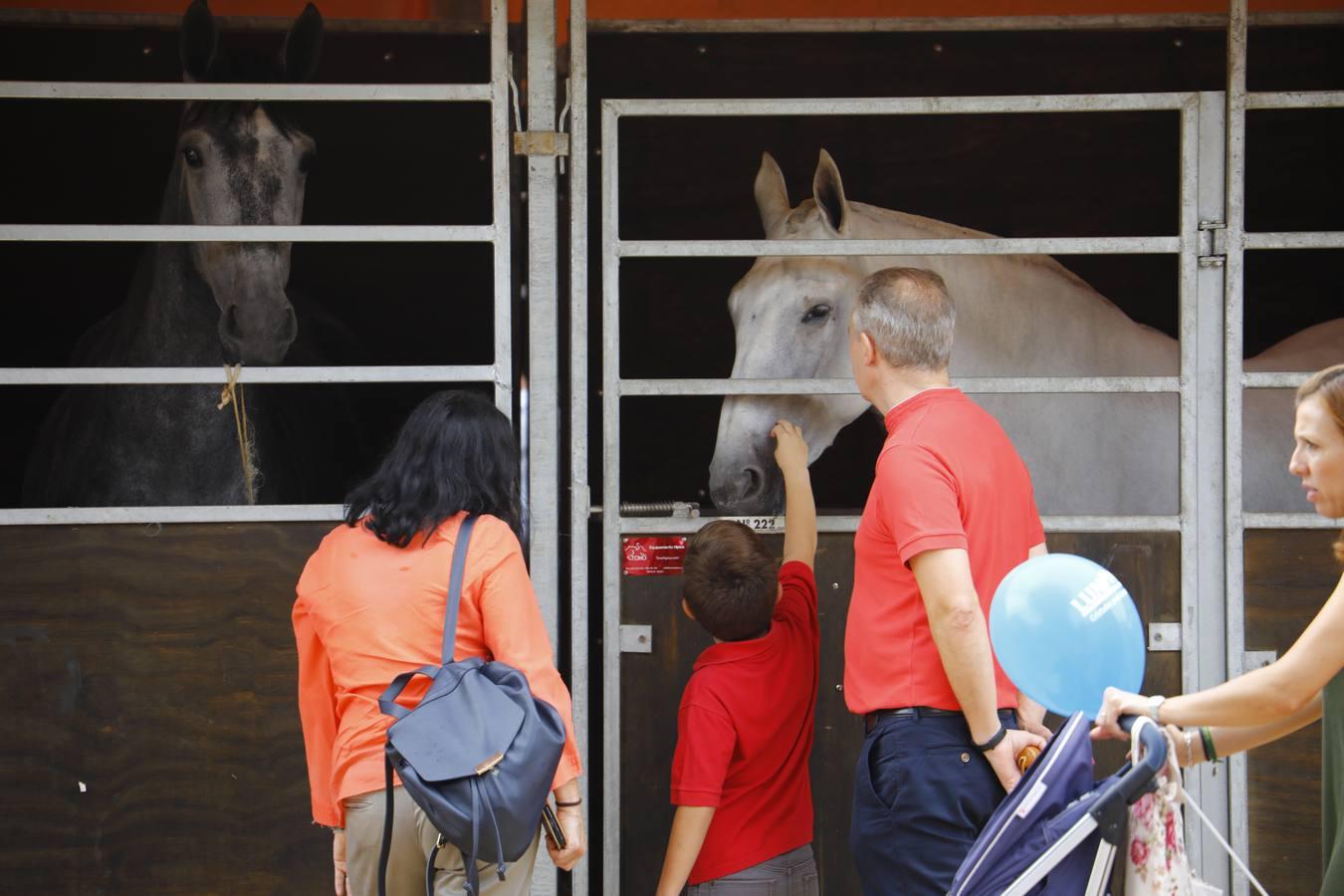 El ambiente del sábado en la Feria del Caballo «Cabalcor», en imágenes