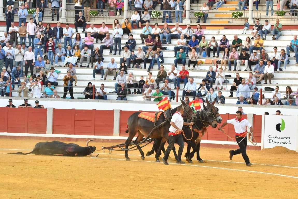 La Feria de las Mercedes de Pozoblanco, en imágenes