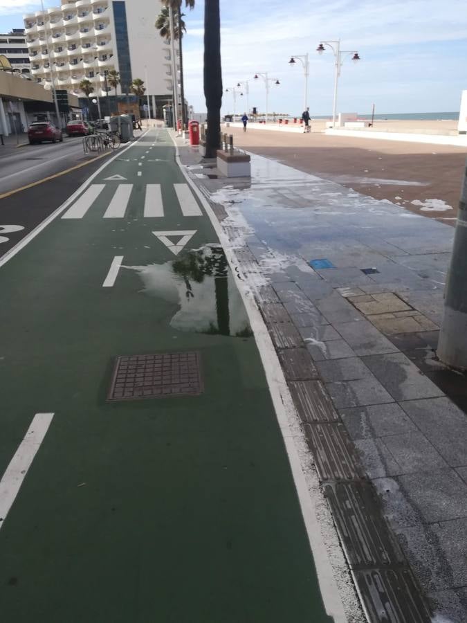 FOTOS: El carril bici de Cádiz, lleno de charcos