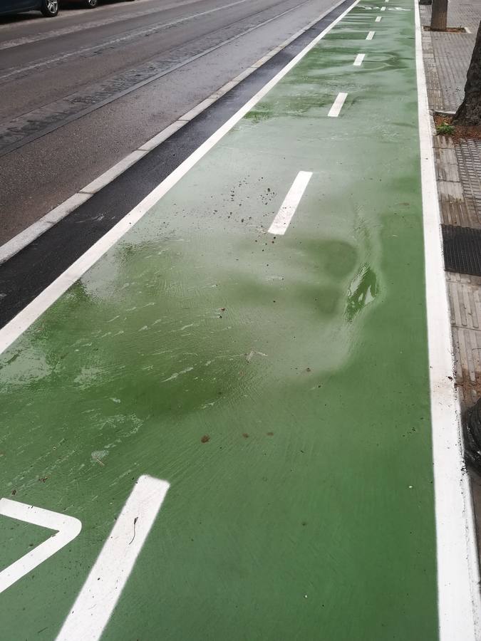 FOTOS: El carril bici de Cádiz, lleno de charcos