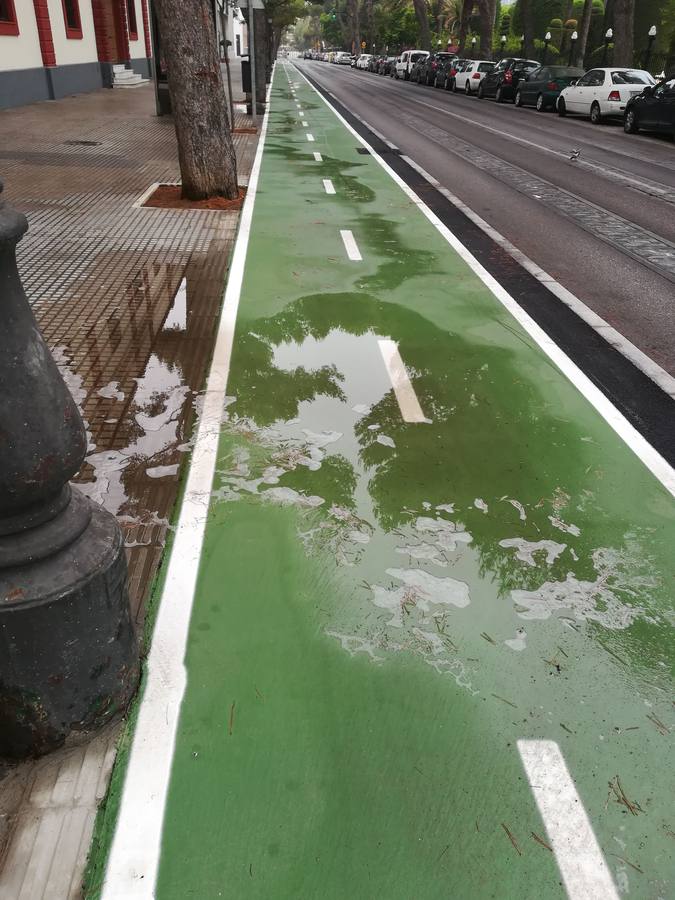 FOTOS: El carril bici de Cádiz, lleno de charcos