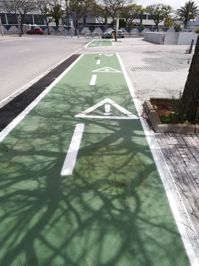 FOTOS: El carril bici de Cádiz, lleno de charcos