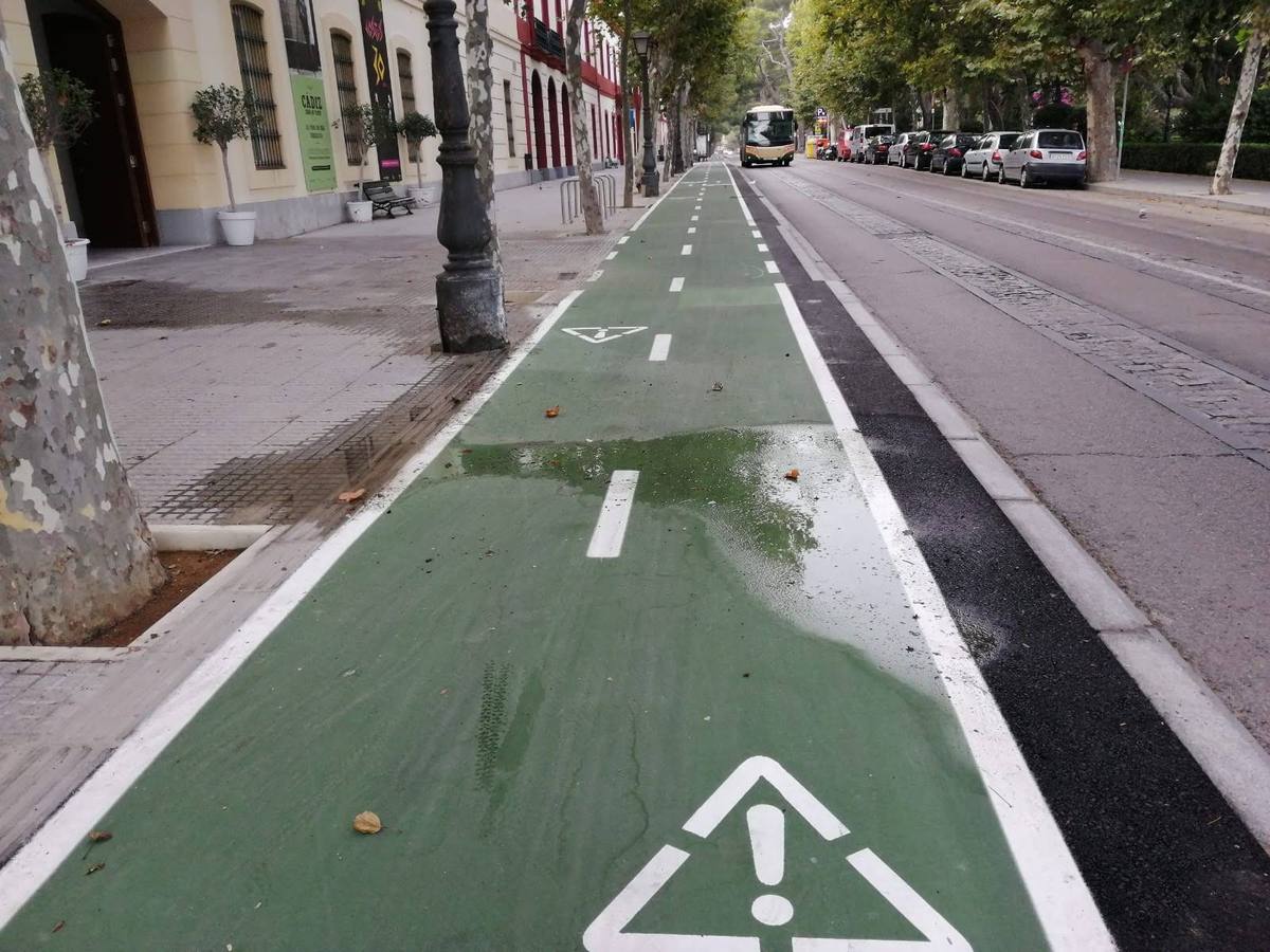 FOTOS: El carril bici de Cádiz, lleno de charcos