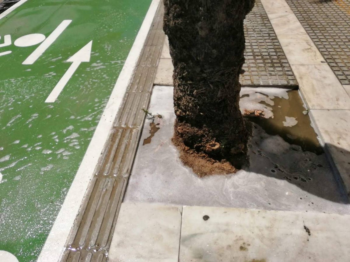FOTOS: El carril bici de Cádiz, lleno de charcos