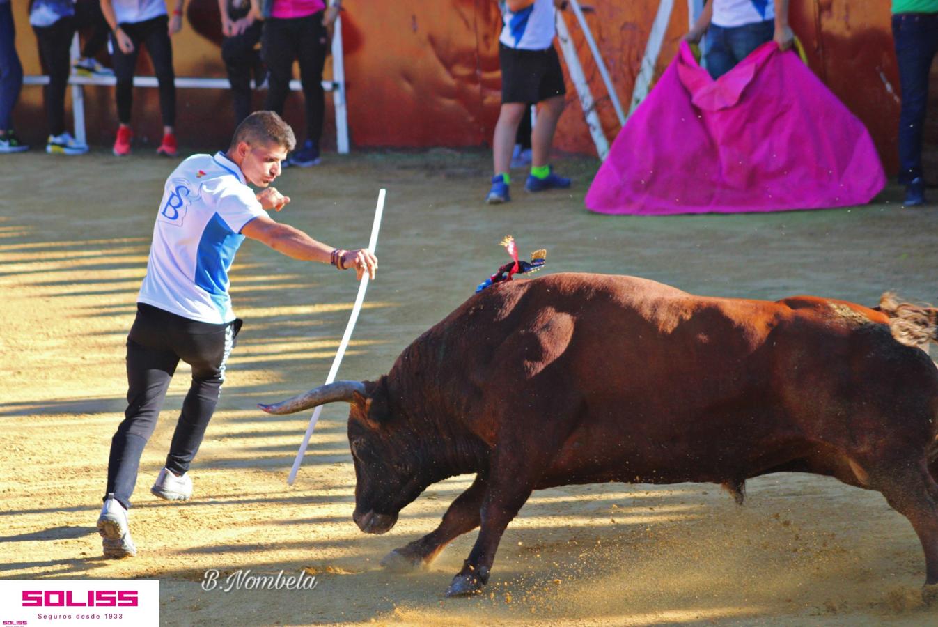 Pantoja celebra sus encierros, una becerrada y su primer toro de cajón