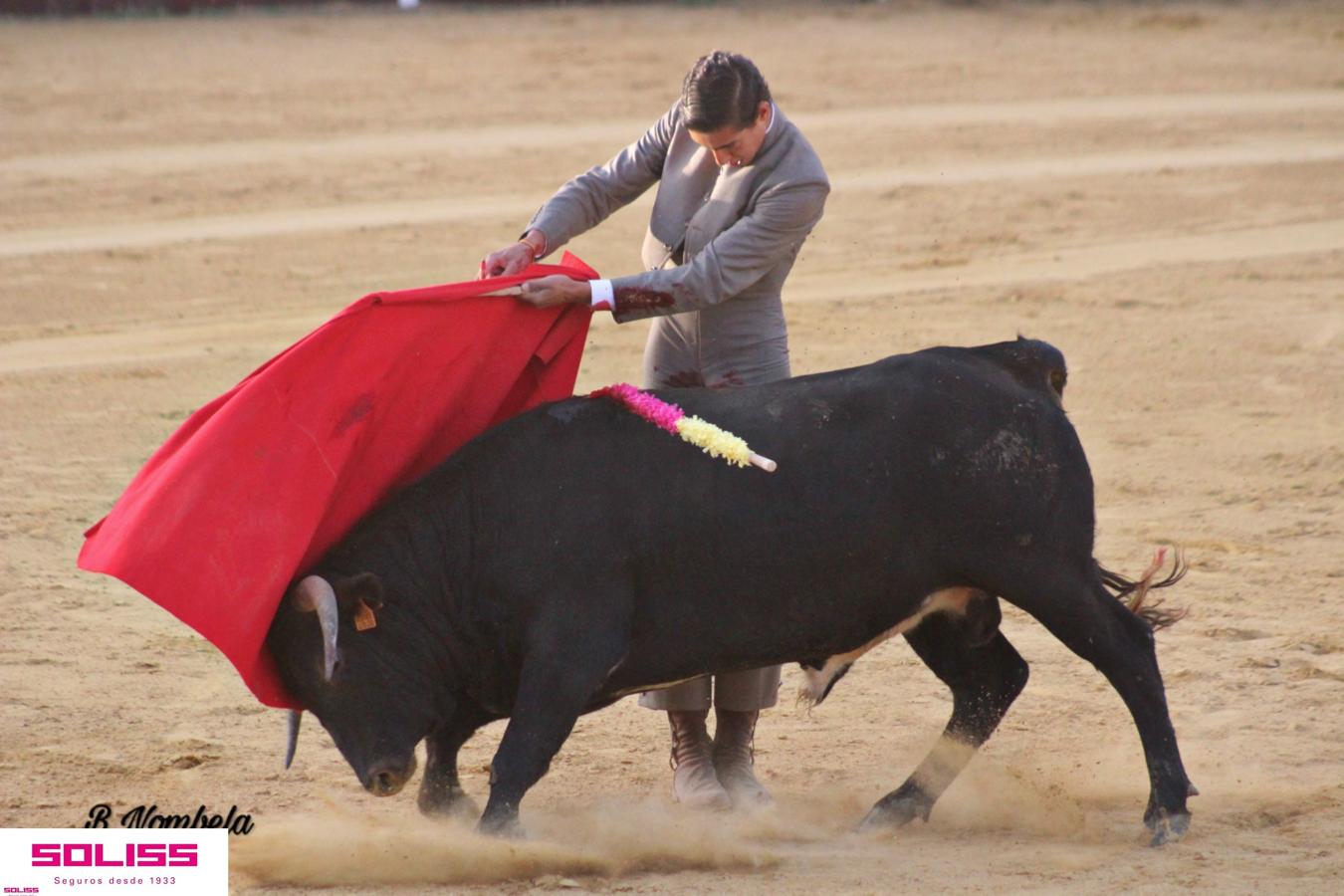 Pantoja celebra sus encierros, una becerrada y su primer toro de cajón