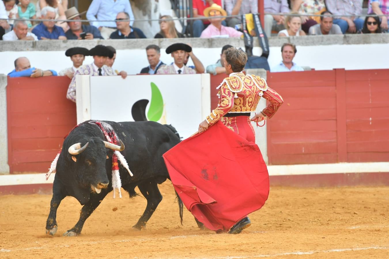 La corrida de toros de Pozoblanco, en imágenes