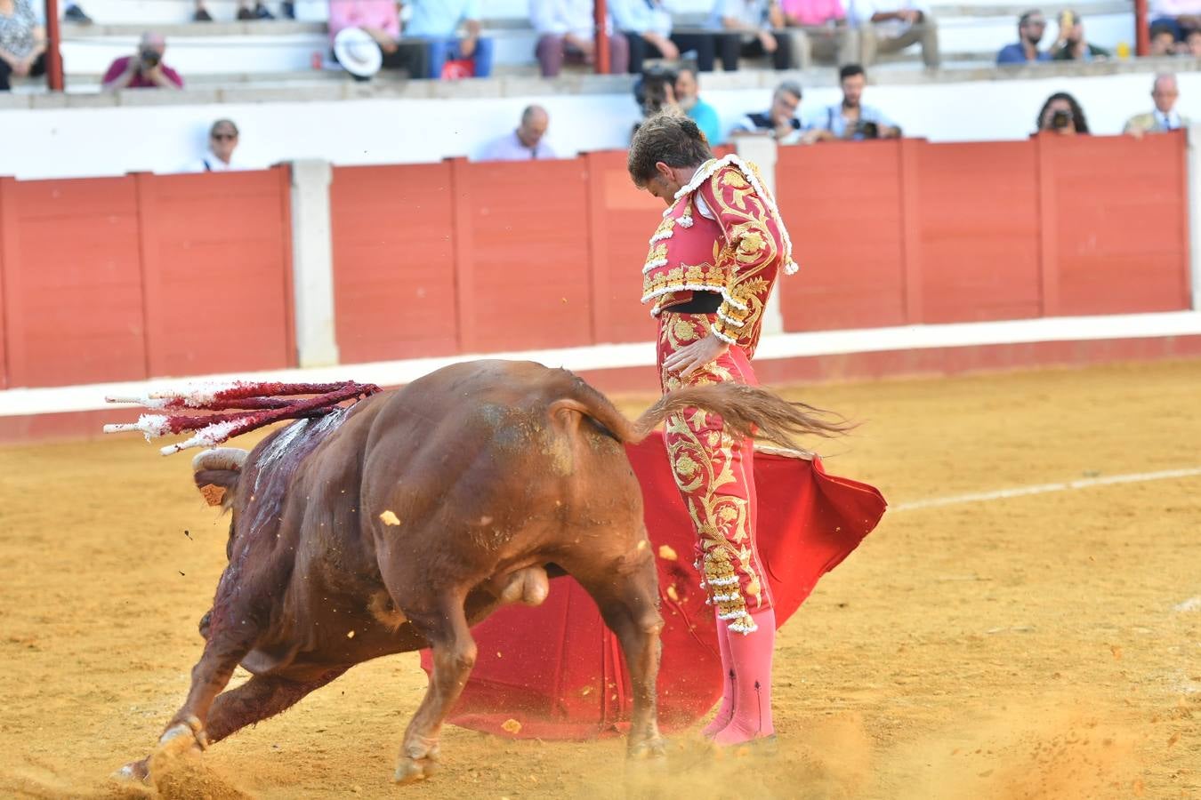 La corrida de toros de Pozoblanco, en imágenes