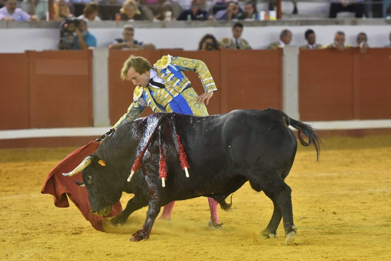 La corrida de toros de Pozoblanco, en imágenes