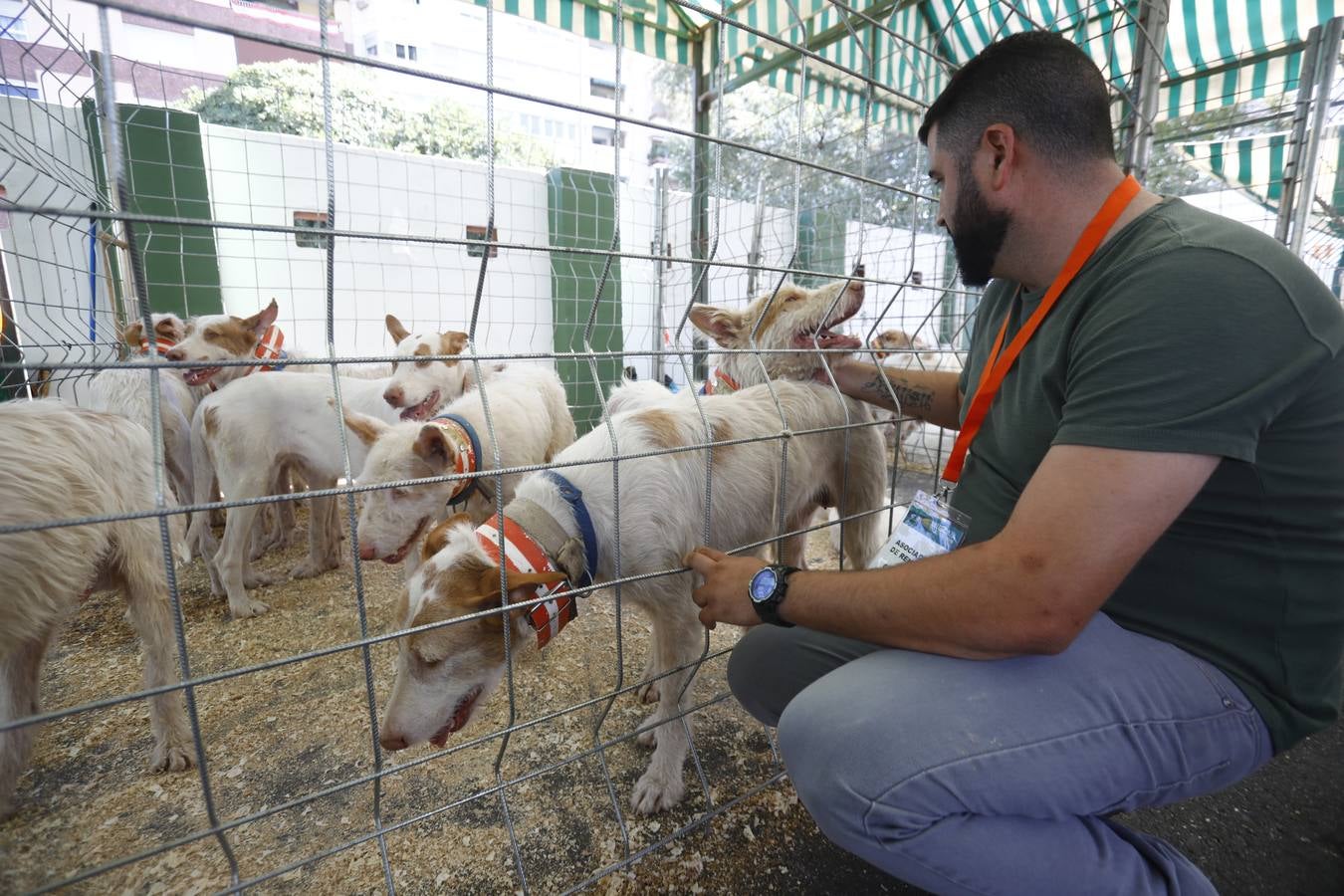 La tercera jornada de Intercaza, la feria de la caza de Córdoba, en imágenes