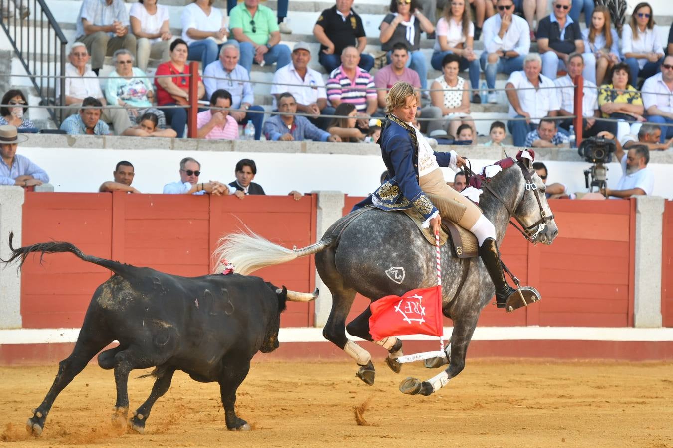 El último festejo de la feria de Pozoblanco, en imágenes