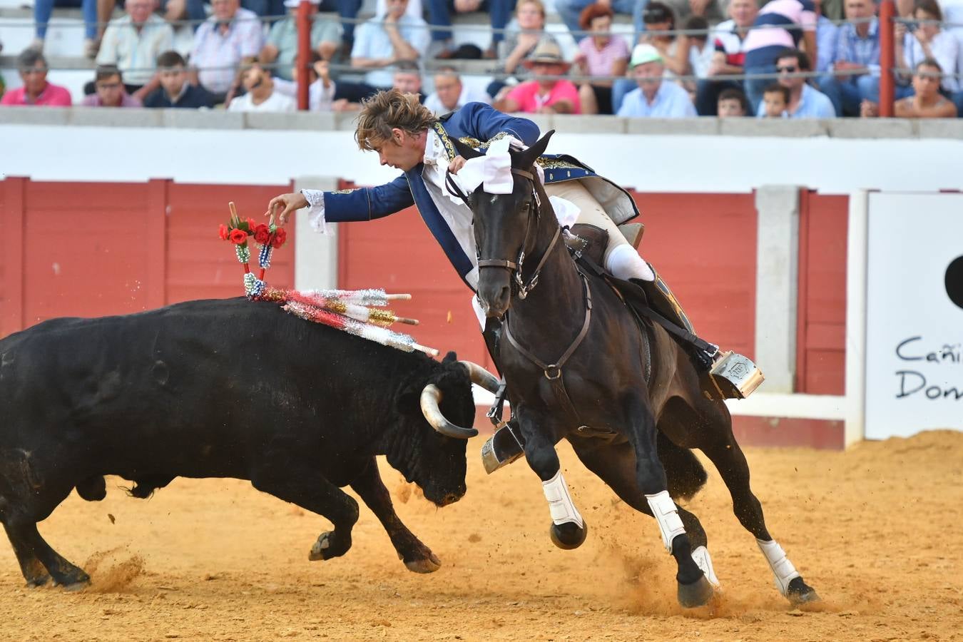 El último festejo de la feria de Pozoblanco, en imágenes