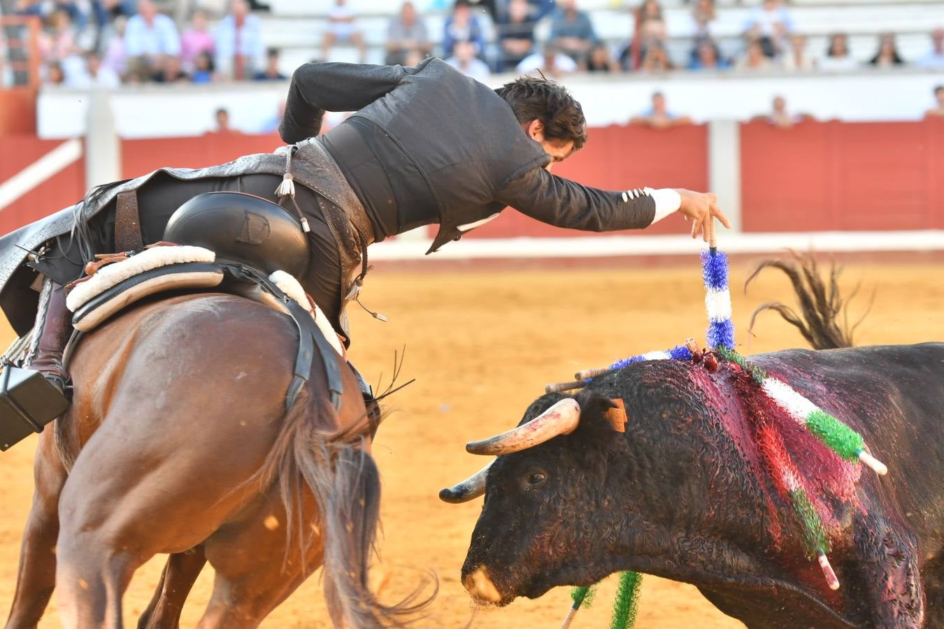 El último festejo de la feria de Pozoblanco, en imágenes