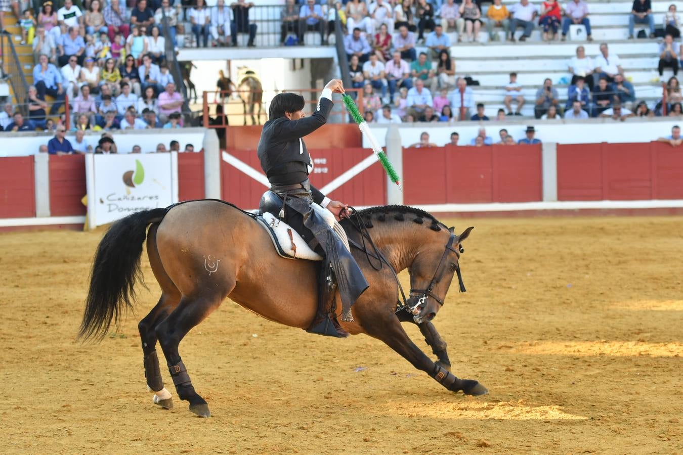 El último festejo de la feria de Pozoblanco, en imágenes