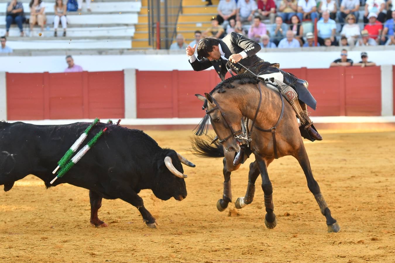 El último festejo de la feria de Pozoblanco, en imágenes