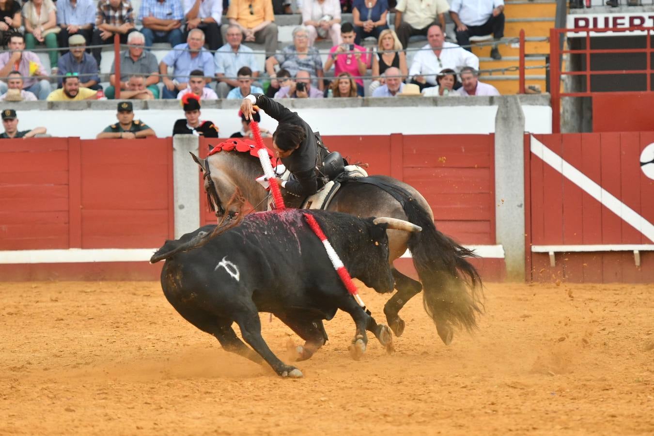 El último festejo de la feria de Pozoblanco, en imágenes