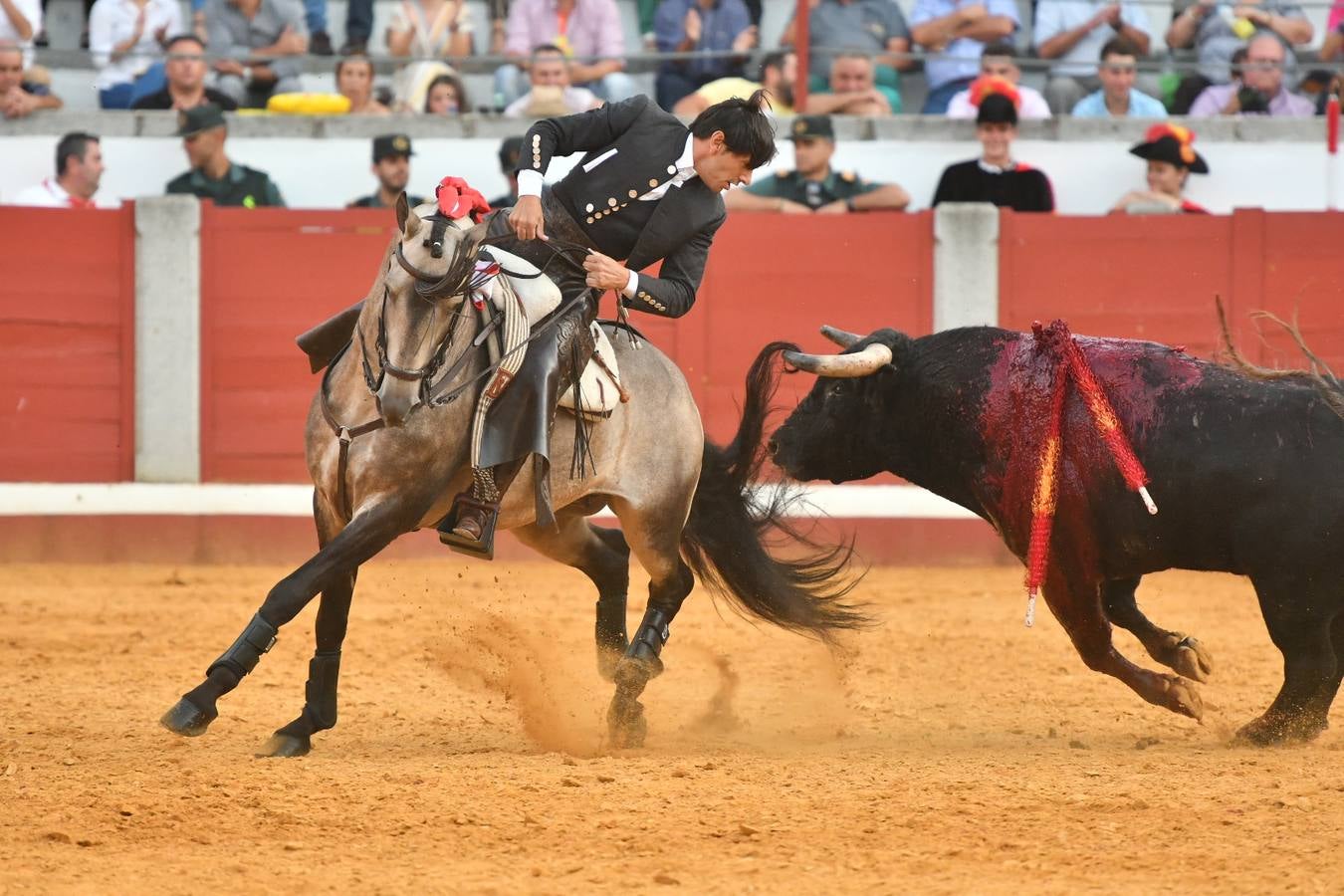 El último festejo de la feria de Pozoblanco, en imágenes