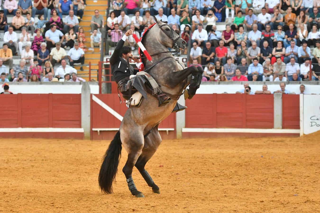 El último festejo de la feria de Pozoblanco, en imágenes