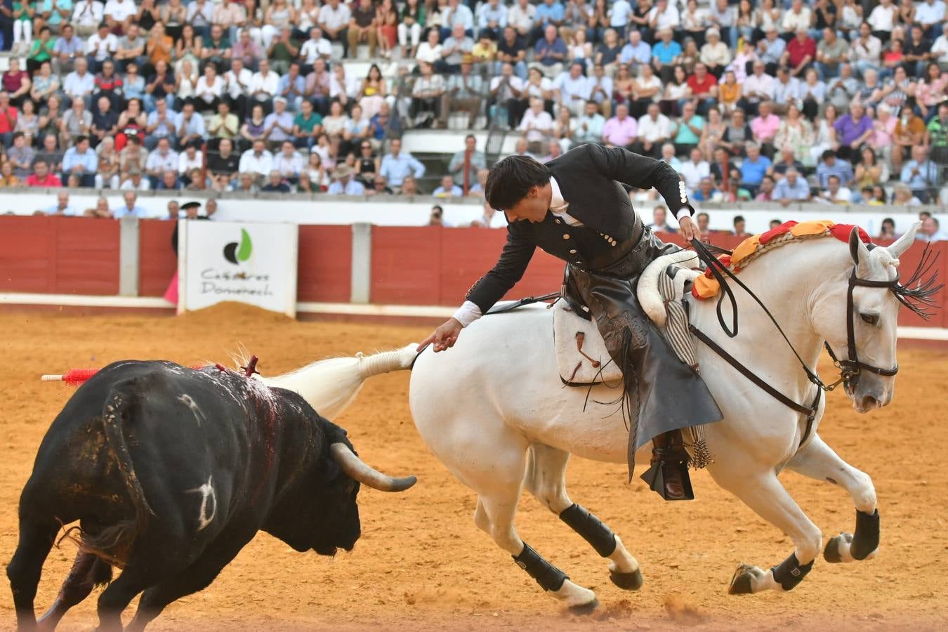 El último festejo de la feria de Pozoblanco, en imágenes