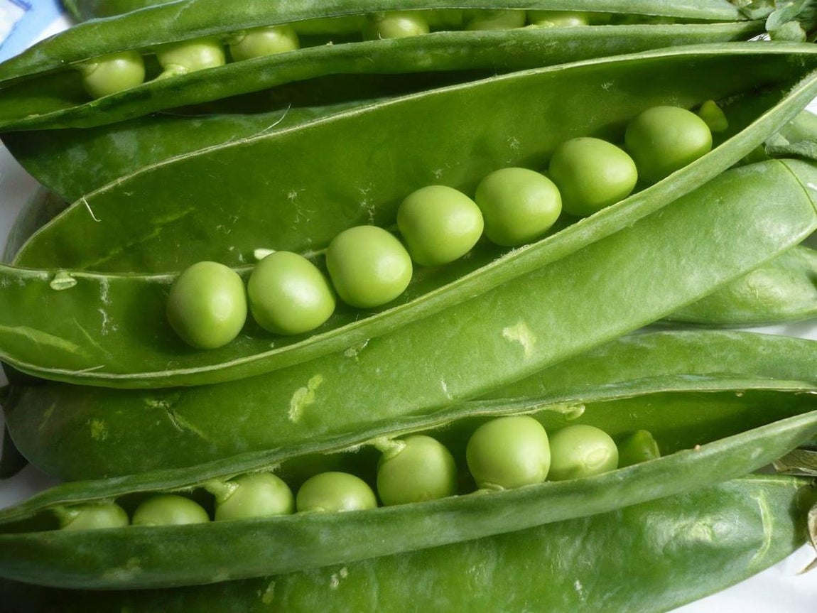 Guisantes. Los guisantes son otro tipo de legumbres altamente rico en fibra. De cada 100 gramos, 16,7 son fibra.