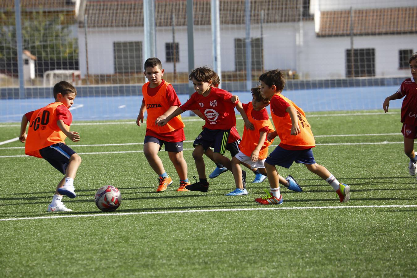 Las nuevas instalaciones del colegio Calasancio de Córdoba, en imágenes